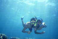 Maui_Snorkeling.png