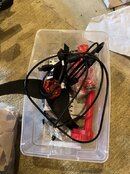 IMG_6666.jpeg