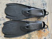 IMG_3786.jpeg