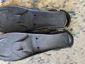 IMG_3787.jpeg