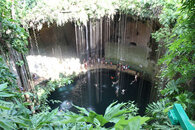 cenote top.jpg