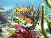 Florida Best-24.jpg