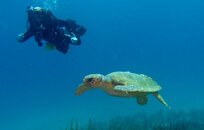 Florida Best-31.jpg