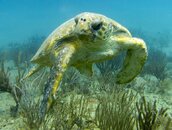 Florida Best-32.jpg