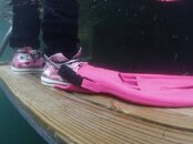 Pink shoes and fin.jpg