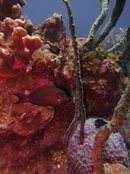 Cayman2012S100 179.jpg