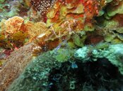Cayman2012S100 259.jpg