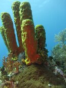 Cayman2012S100 300.jpg