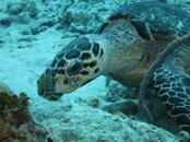 Cayman2012S100 317.jpg