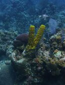 Cayman2012S100 408.jpg