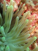 Cayman2012S100 423.jpg
