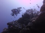 Cayman2012S100 077.jpg