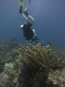 Cayman2012S100 168.jpg