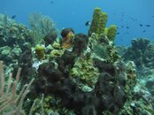 Cayman2012S100 291.jpg