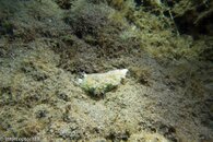 20120602-IMG_1847.jpg