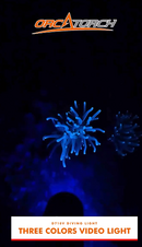 D710V+snoot, UV beam-underwater.png