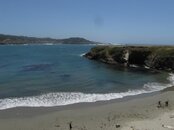 IMG_2031.jpg