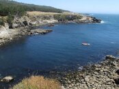 IMG_2161.jpg