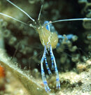 P1014448_3746_edited-1.jpg