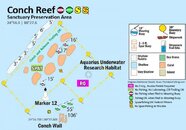 chart-keys-conch-reef.jpg