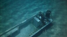 Snorkel Dive Boat.jpg