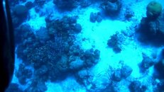 vlcsnap-2012-06-19-09h27m57s196.jpg