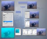 Lab_workflow_underwater.jpg