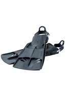 HollisF2Fins-sm.jpg