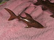 IMG_0061.jpg