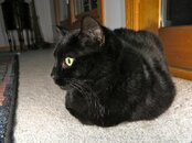 IMG_0078.jpg