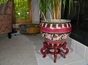 IMG_0083.jpg