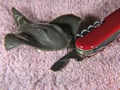 IMG_0110.jpg