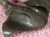 IMG_0123.jpg