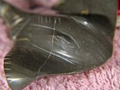 IMG_0124.jpg
