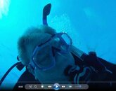 gopro diver.jpg