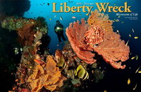 X-Ray_Liberty_600.jpg
