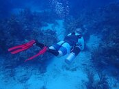 Sidemount_2.JPG