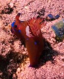 SportDiver_20240123_110030.jpeg