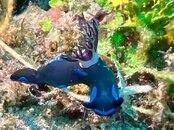 SportDiver_20240123_104834.jpeg