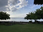 IMG_6643.jpeg
