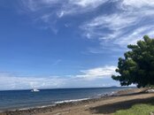 IMG_6657.jpeg