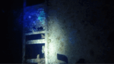MVI_3803~2.gif