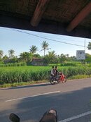 IMG20240324073801.jpg