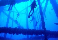 divers (640x445).jpg