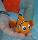 IMG_0303.jpg