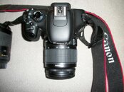 100_0806.jpg