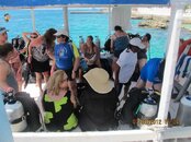 IMG_1702.jpg
