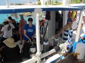 IMG_1703.jpg