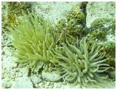 test8.jpg