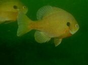 IMG_2472_2.jpg